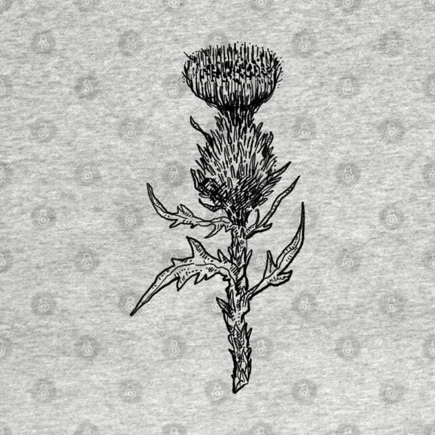 Thistle Wildflower by voidea
